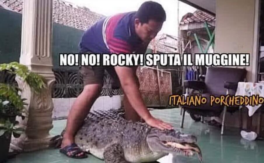 uno dei meme che circolano in rete (foto da google)