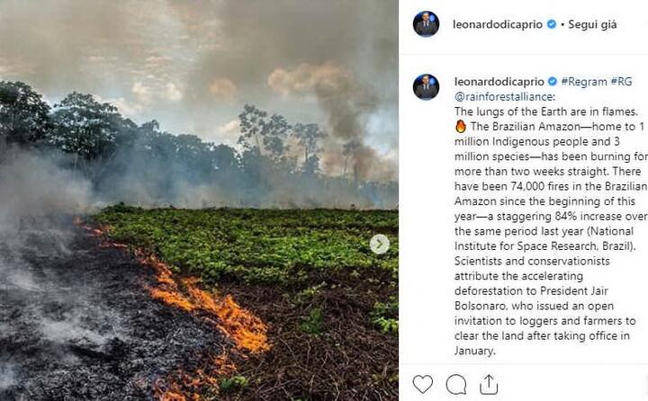 disastro nella foresta amazzonica il post di leonardo di caprio
