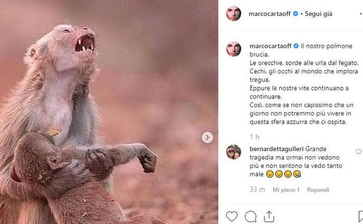 il nostro polmone brucia marco carta