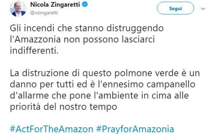 il segretario del pd nicola zingaretti un danno per tutti