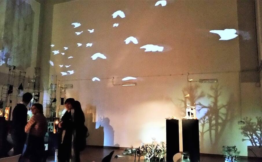 un installazione del associazione grecam (foto da facebook)