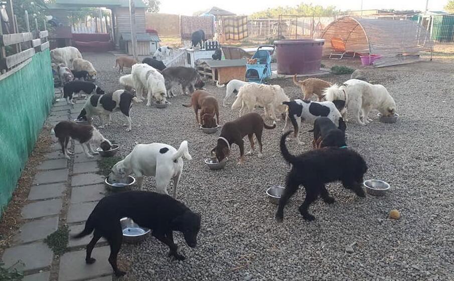 gli ospiti de la casa di bingo (l unione sarda murgana)