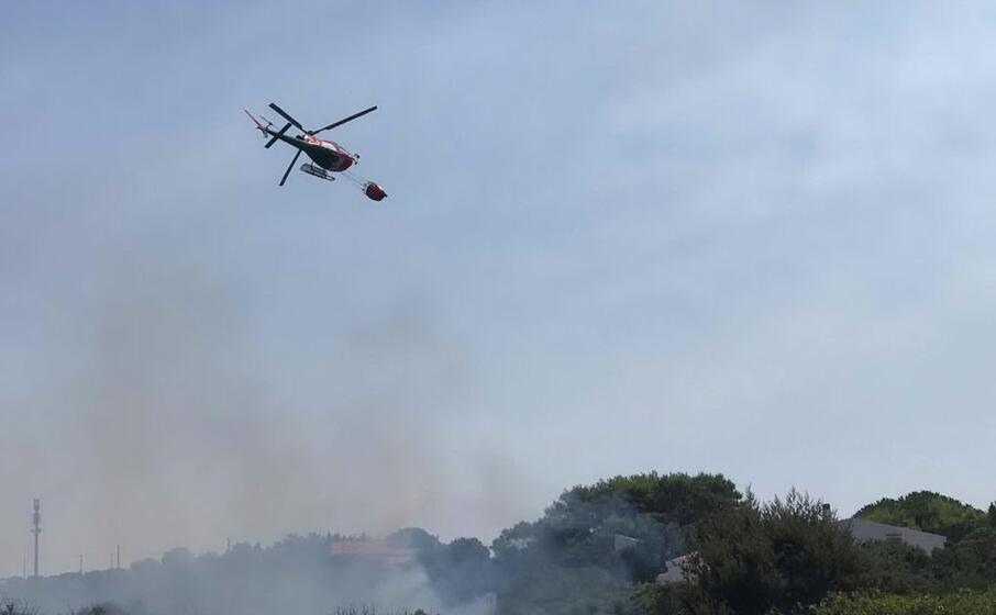 le fiamme hanno attaccato la zona di spalmatore canuti