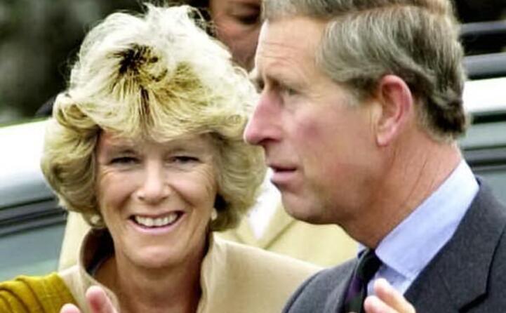 tra le cause del divorzio la relazione di carlo con camilla parker bowles