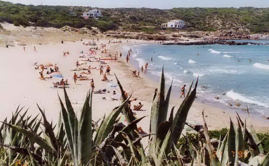 Insulti Minacce E Conchiglie Rubate In Spiaggia A