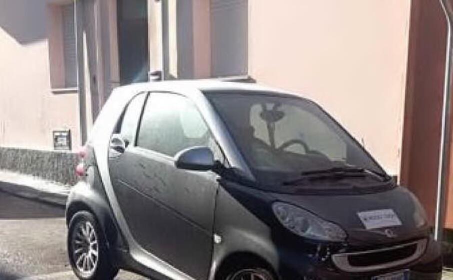 un auto imbrattata (foto pala)