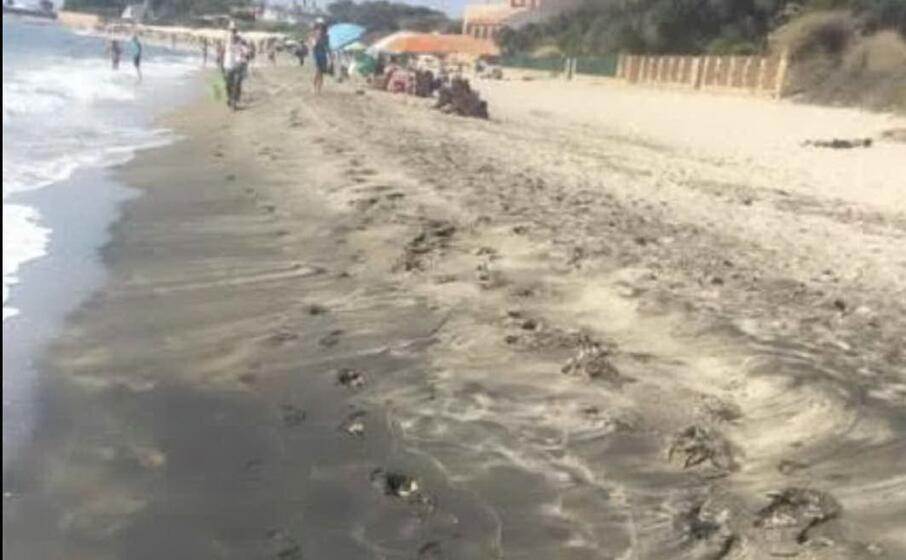 come appariva la spiaggia di guventeddu questa mattina (foto l unione sarda murgana)