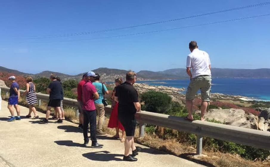 l asinara (foto l unione sarda pala)