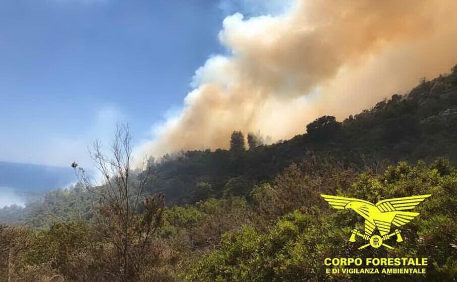 un recente rogo nella zona di pula (foto corpo forestale)