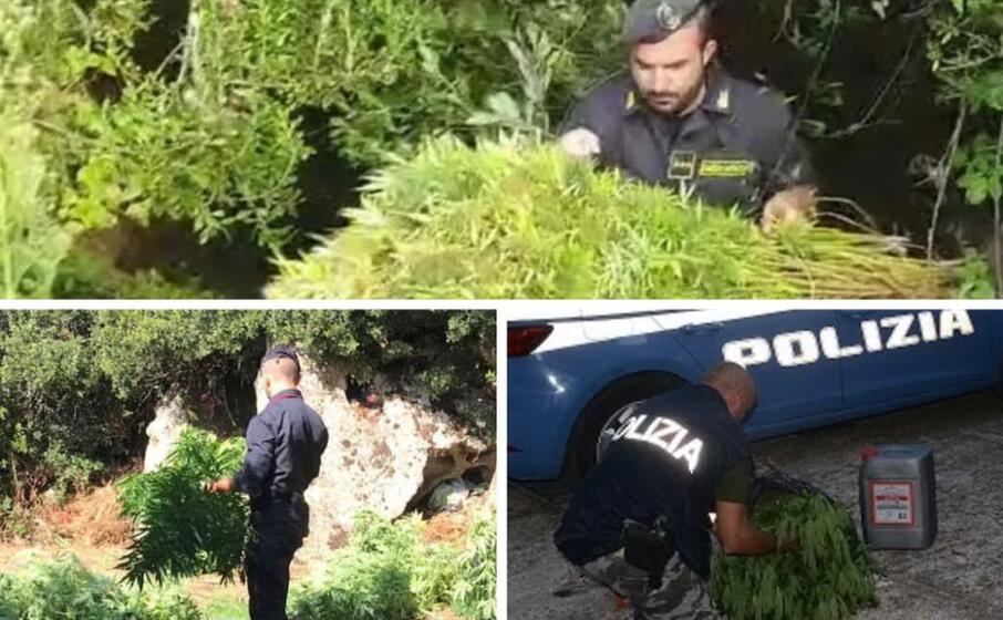 finanza carabinieri e polizia durante gli ultimi sequestri