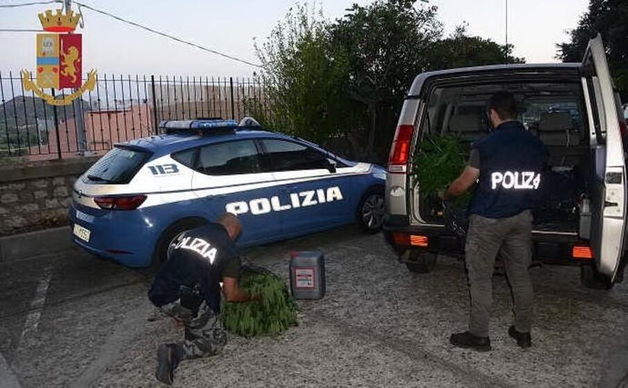 gli agenti con alcune piante sequestrate (foto polizia)