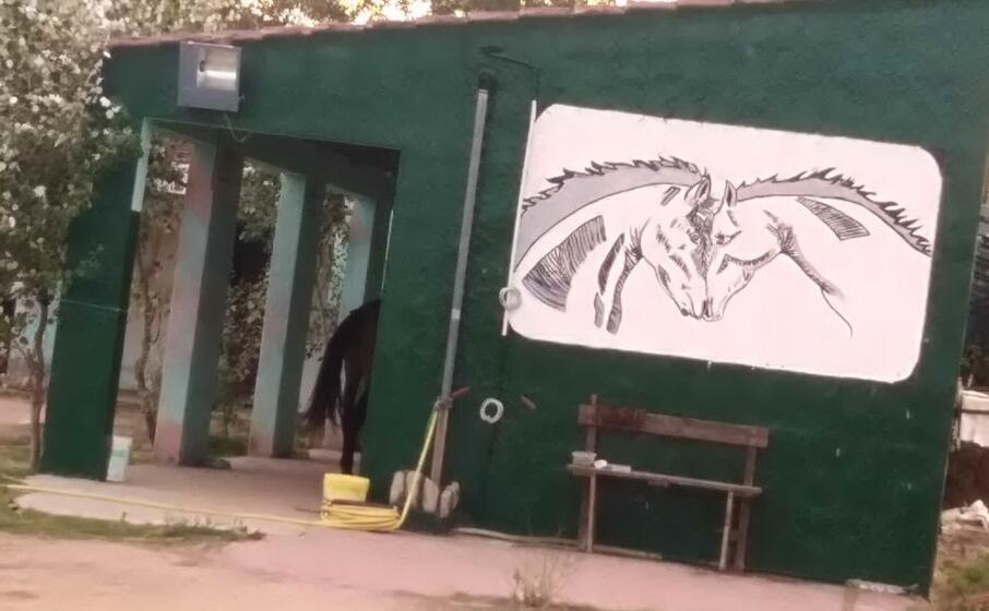 il centro ippico di ortacesus (foto l unione sarda sirigu)