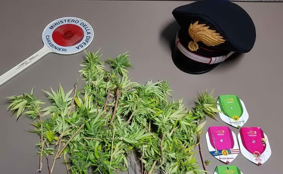 (foto carabinieri)