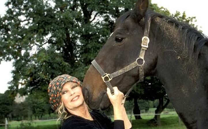 accaddeoggi 28 settembre brigitte bardot compie 85 anni