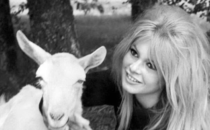 con uno dei suoi amici animali