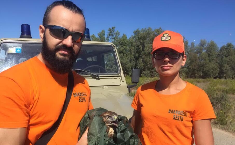 la poiana tratta in salvo dai barracelli