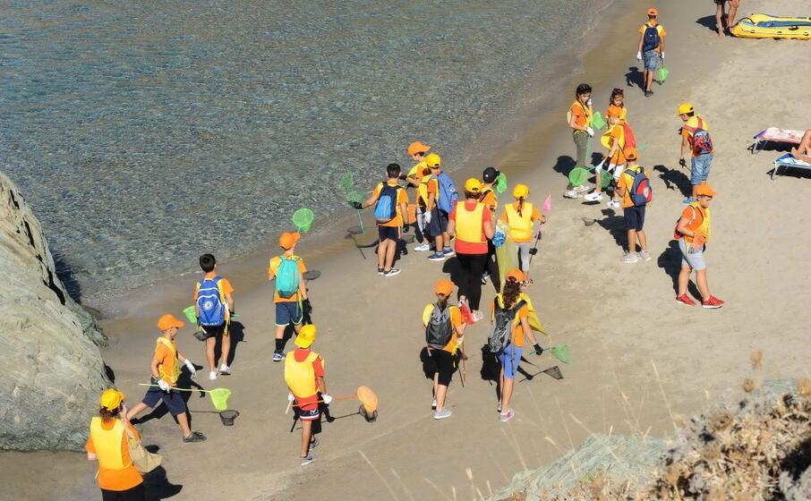 le attivit di pulizia (foto l unione sarda cucca)