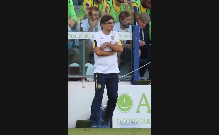 ivan juric