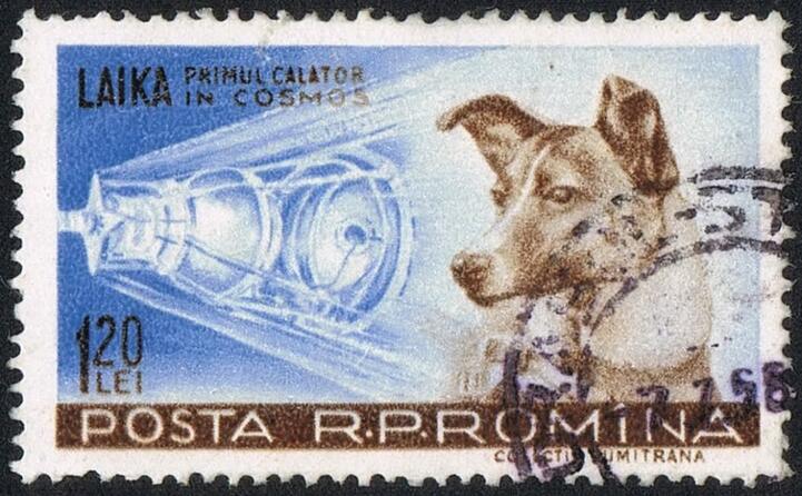 un francobollo dedicato a laika (foto wikipedia)