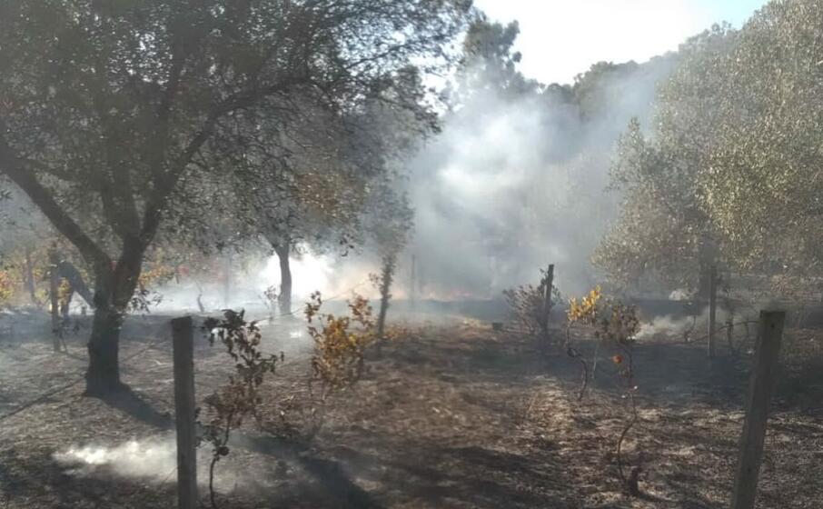 l incendio domato dagli uomini della compagnia barracellare in localit sibiri (foto l unione sarda cazzaniga)
