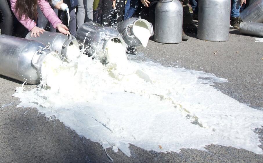 latte versato a terra nel corso di una protesta dei pastori (archivio l unione sarda)