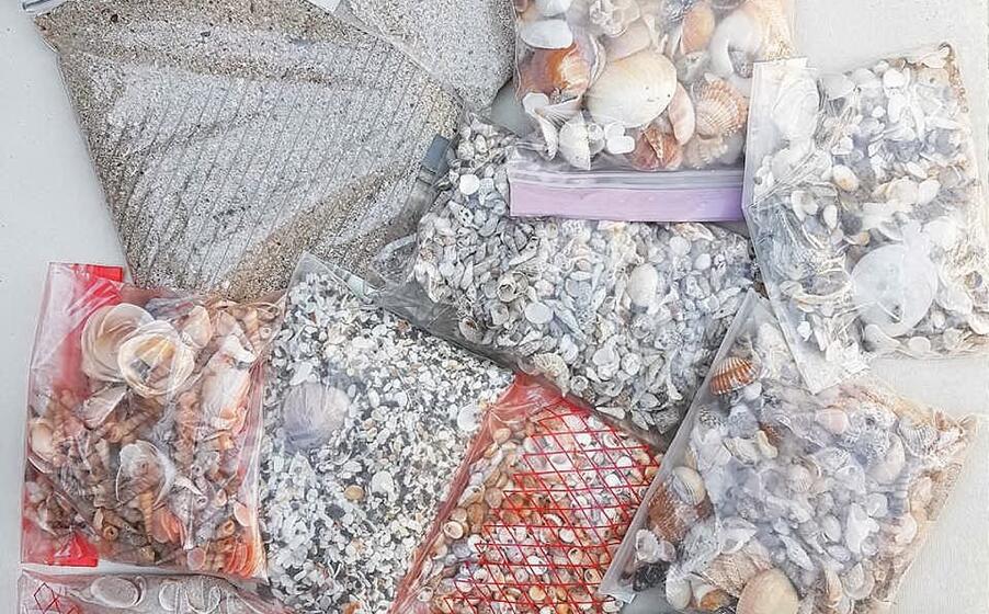 parte del materiale restituito (foto sardegna rubata e depredata)
