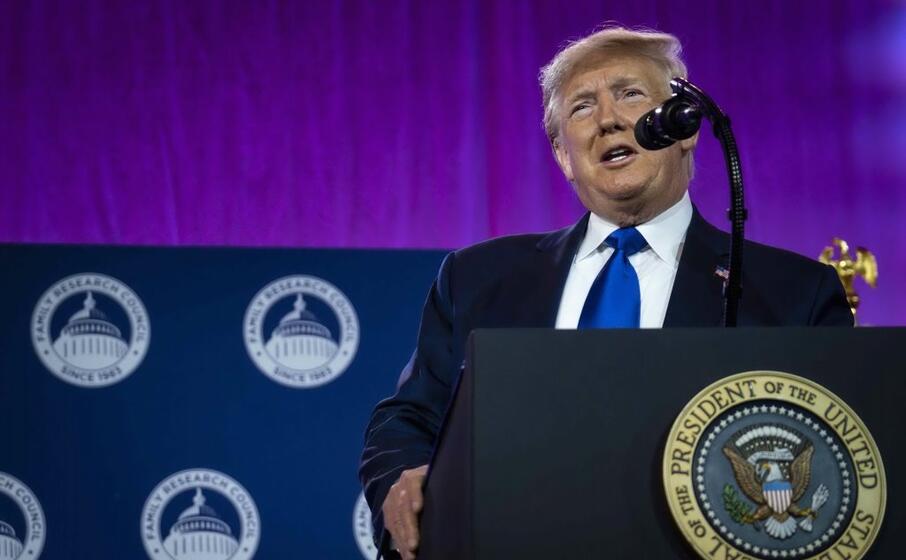 donald trump (ansa)