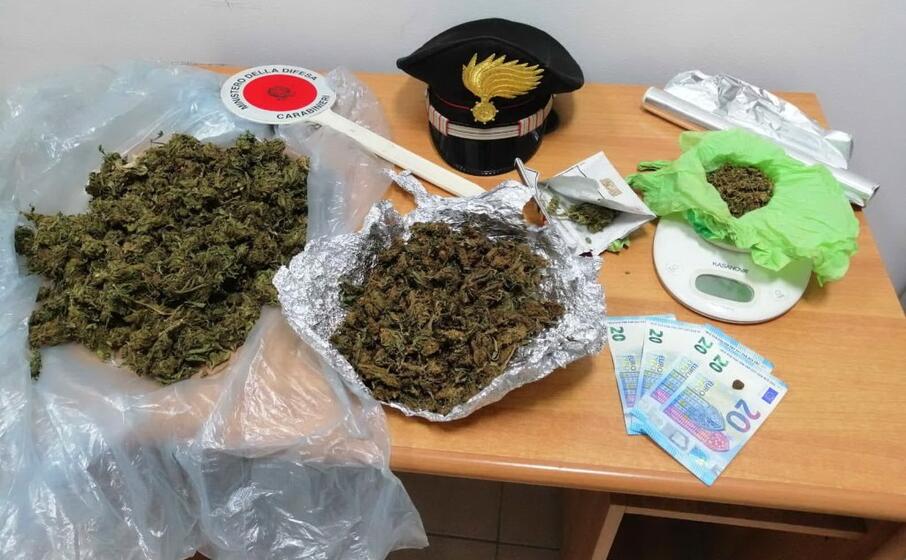 la marijuana sequestrata (foto carabinieri)