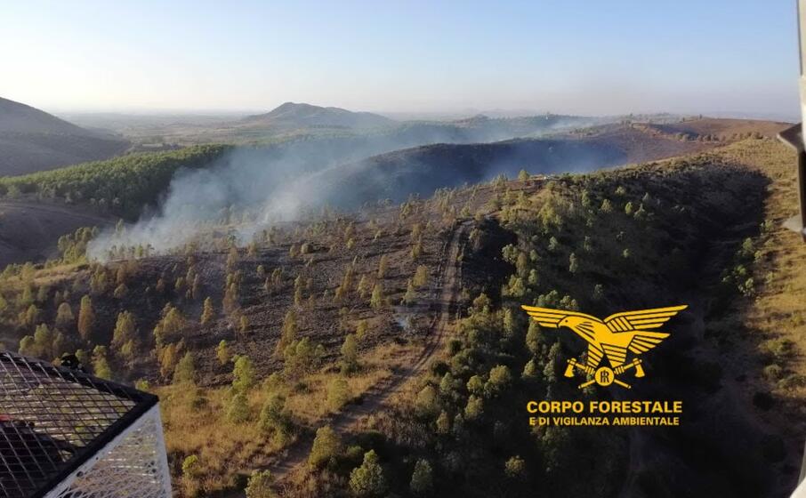 l incendio a monastir (foto corpo forestale)