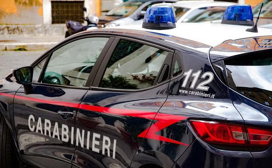 sul caso indagano i carabinieri (foto pixabay)