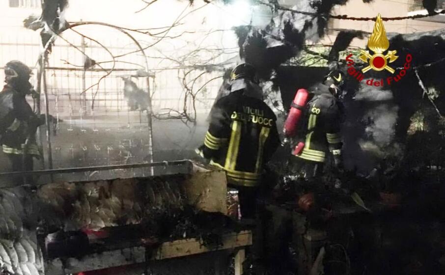 i vigili del fuoco sul posto (foto vvf)