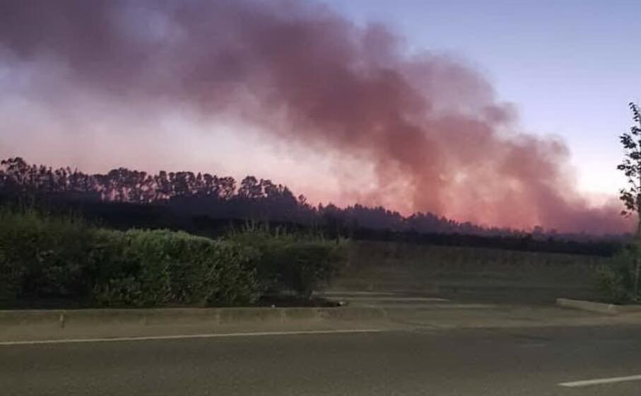 uno degli incendi nella zona di pesaria (foto l unione sarda sanna)