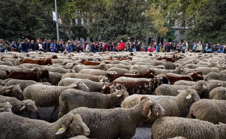 il corteo