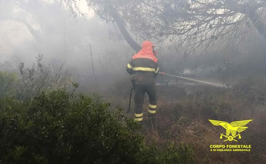 (foto corpo forestale)