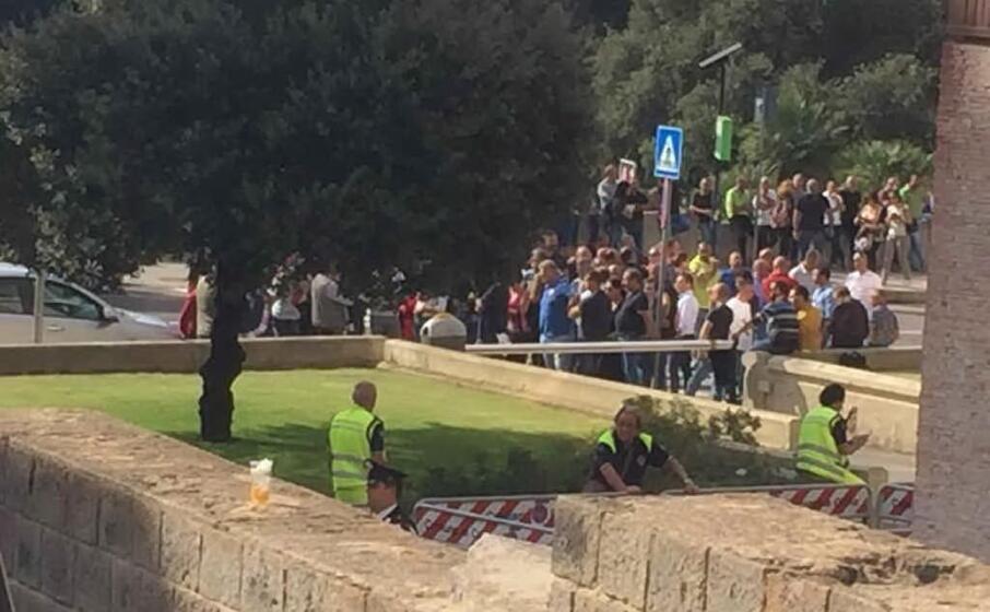 l arrivo degli allevatori