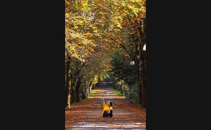 l autunno immortalato nei viali alberati di badde saliches a bolotana (foto roundok_)