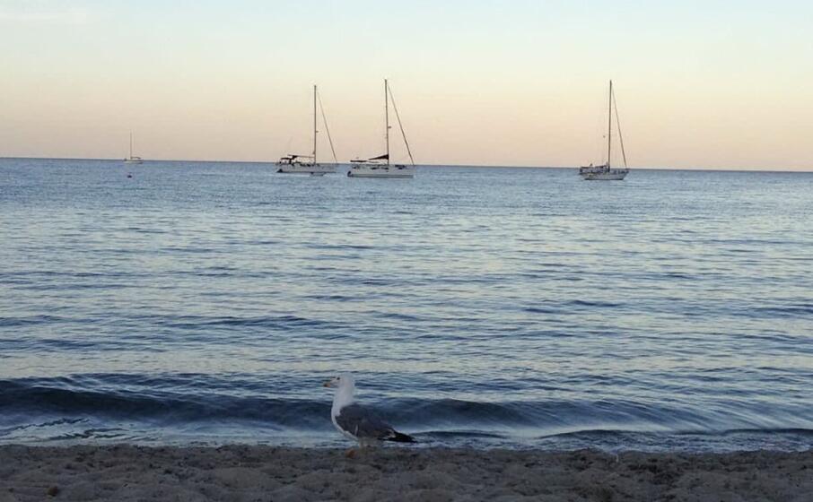 la spiaggia di nora al tramonto (foto murgana)
