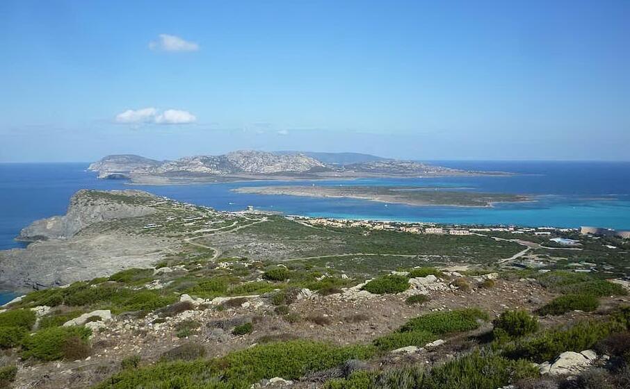 l asinara (wikipedia)