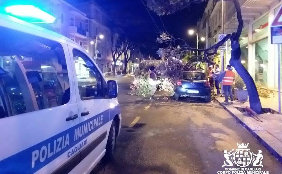 l intervento dei vigili (foto polizia municipale)