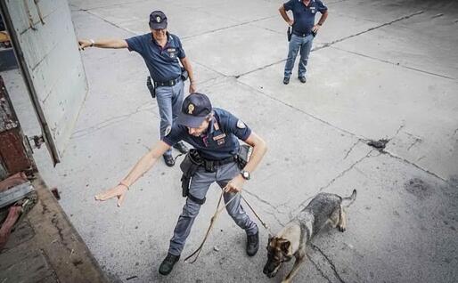Nucleo cinofili in azione (foto ufficio stampa)