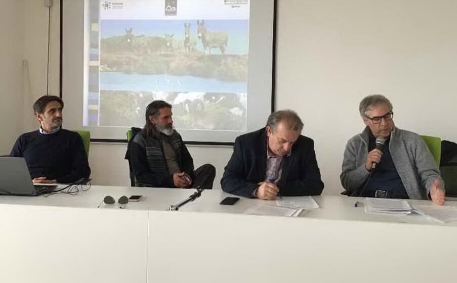 l illustrazione della carta europea (foto mariangela pala)