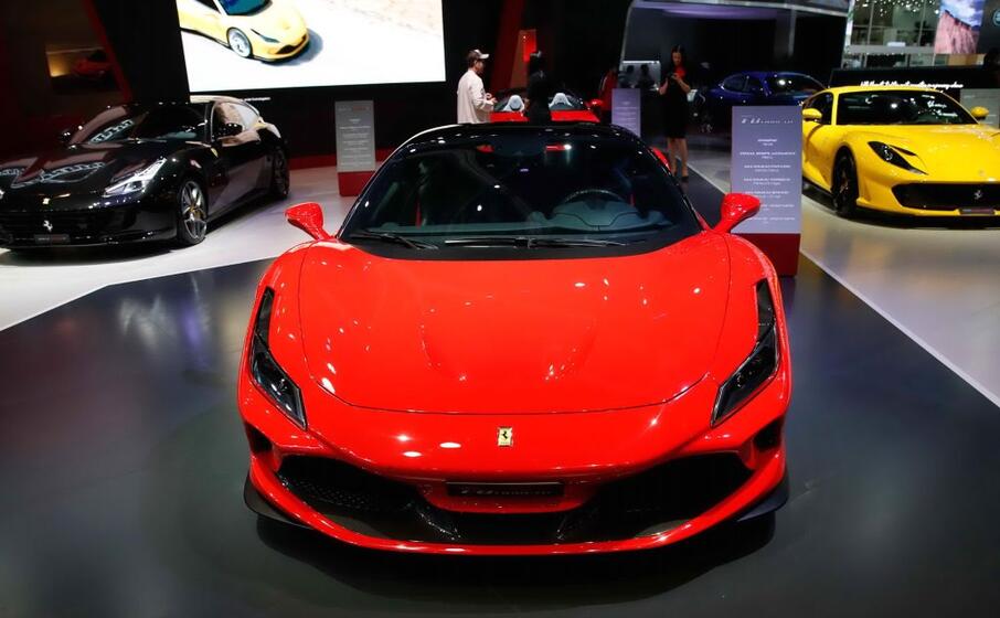 la bellezza del cavallino