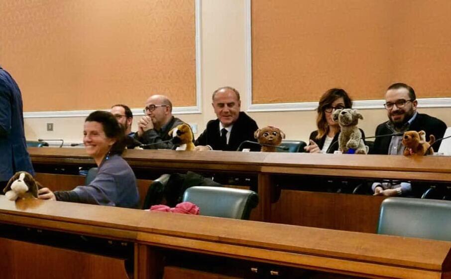 l aula con i peluche (foto facebook)