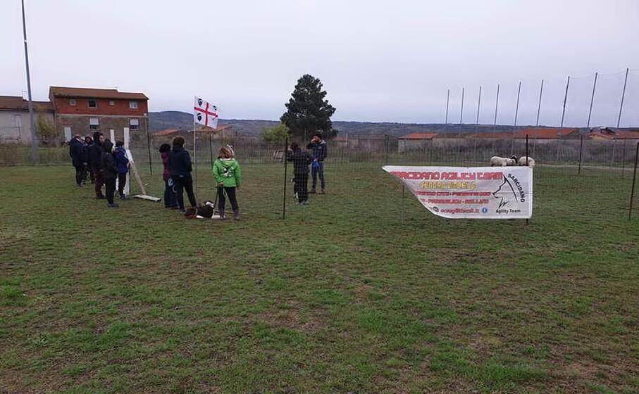 un momento della maifestazione (l unione sarda foto gioia)
