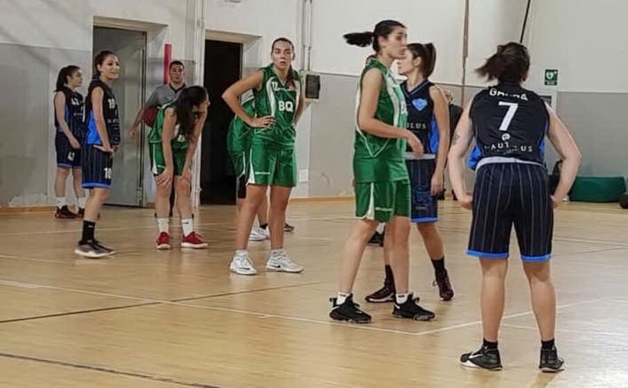 una fase di coral ferrini (foto coral)
