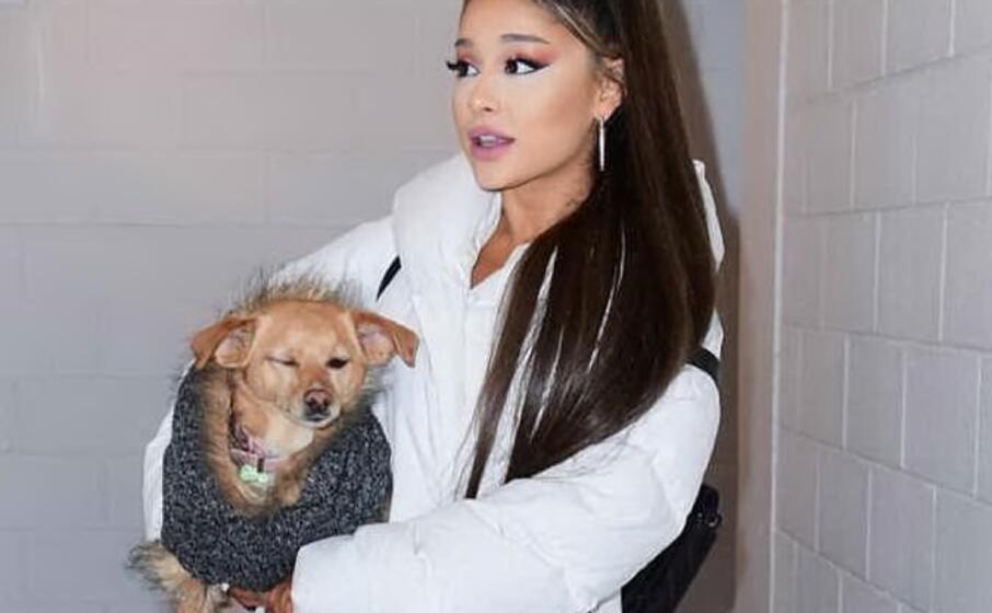 ariana grande (foto da instagram)