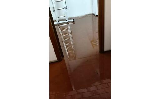 La foto inviata dal lettore