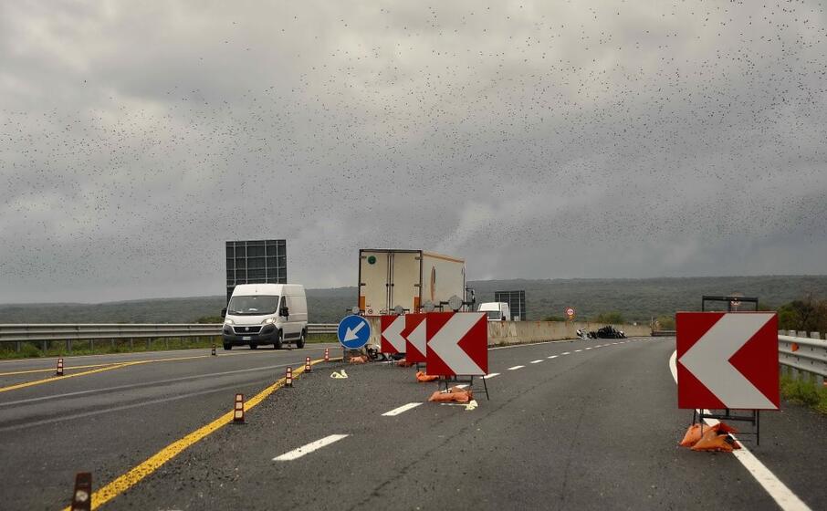 cantiere sulla 131 al chilometro 108 di bauladu (foto piera serusi)