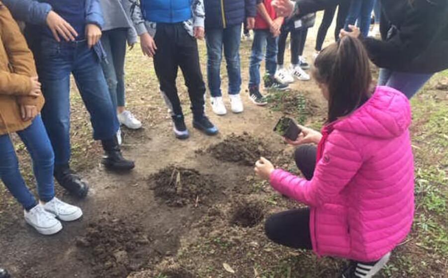 una scolara mette a dimora una piantina di mirto (foto elia sanna)