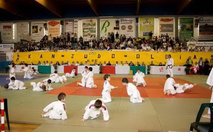 un immagine dell ultima edizione del trofeo baby ippon